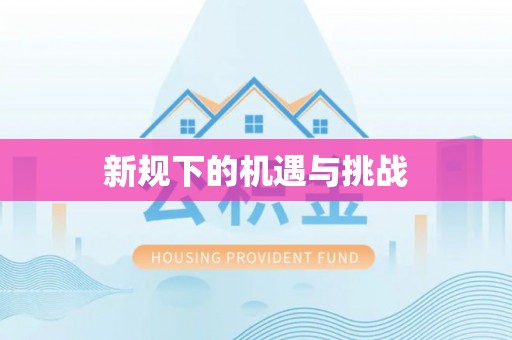 后里新规下的机遇与挑战