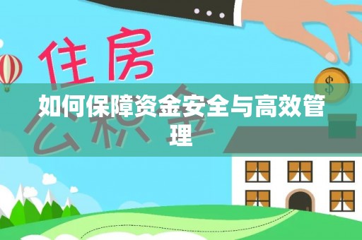后里如何保障资金安全与高效管理
