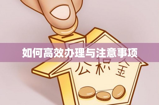 后里如何高效办理与注意事项