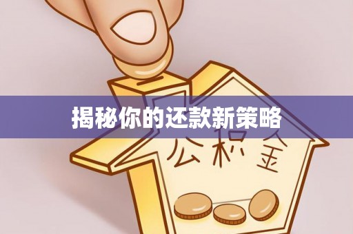 后里揭秘你的还款新策略
