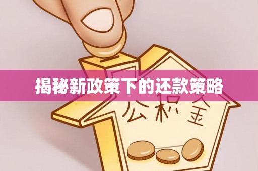 后里揭秘新政策下的还款策略