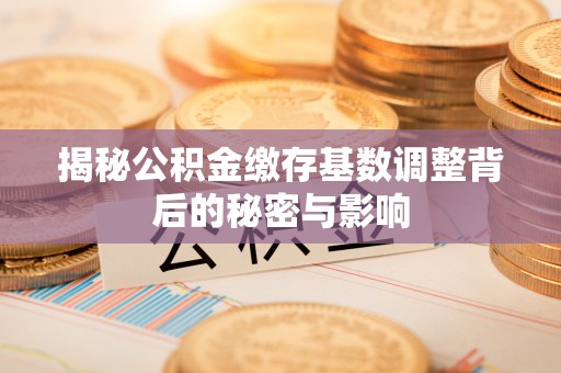 后里揭秘公积金缴存基数调整背后的秘密与影响