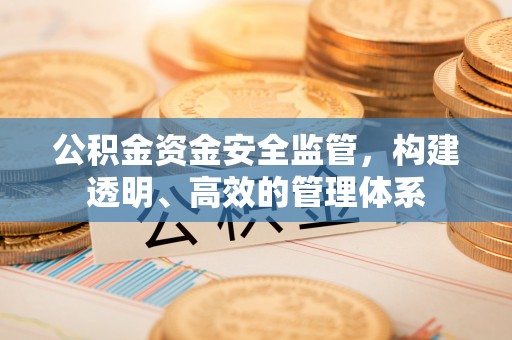 后里公积金资金安全监管，构建透明、高效的管理体系