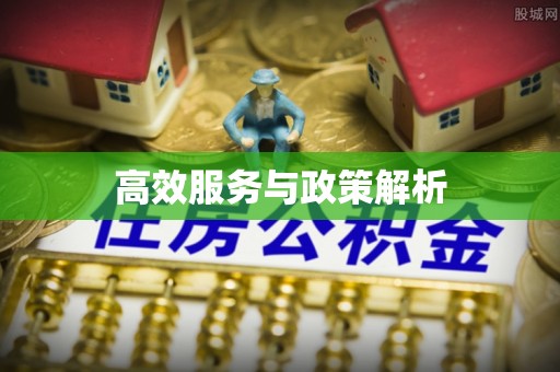 后里高效服务与政策解析