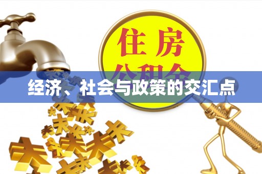 后里经济、社会与政策的交汇点
