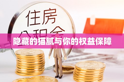 后里隐藏的猫腻与你的权益保障