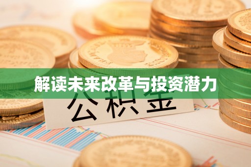 后里解读未来改革与投资潜力