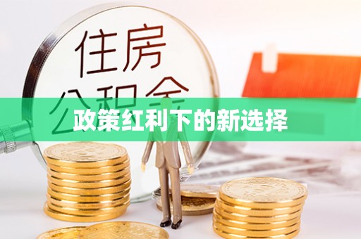 后里政策红利下的新选择