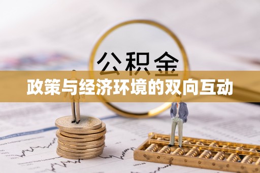 后里政策与经济环境的双向互动