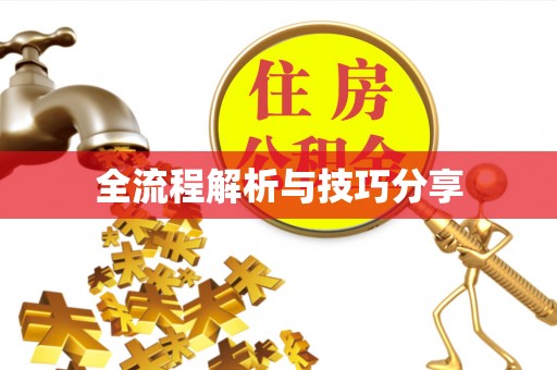 后里全流程解析与技巧分享