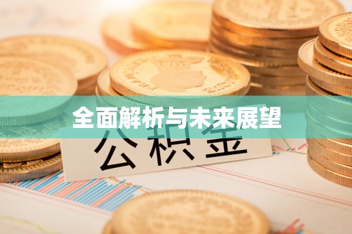 后里全面解析与未来展望