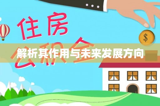 后里解析其作用与未来发展方向