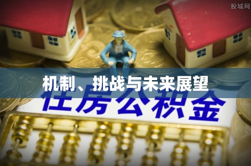 后里机制、挑战与未来展望