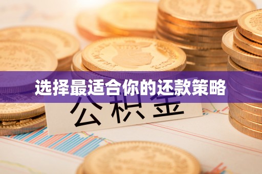 后里选择最适合你的还款策略