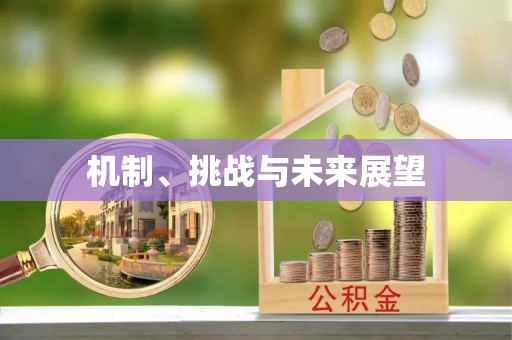 后里机制、挑战与未来展望