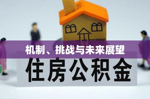 后里机制、挑战与未来展望
